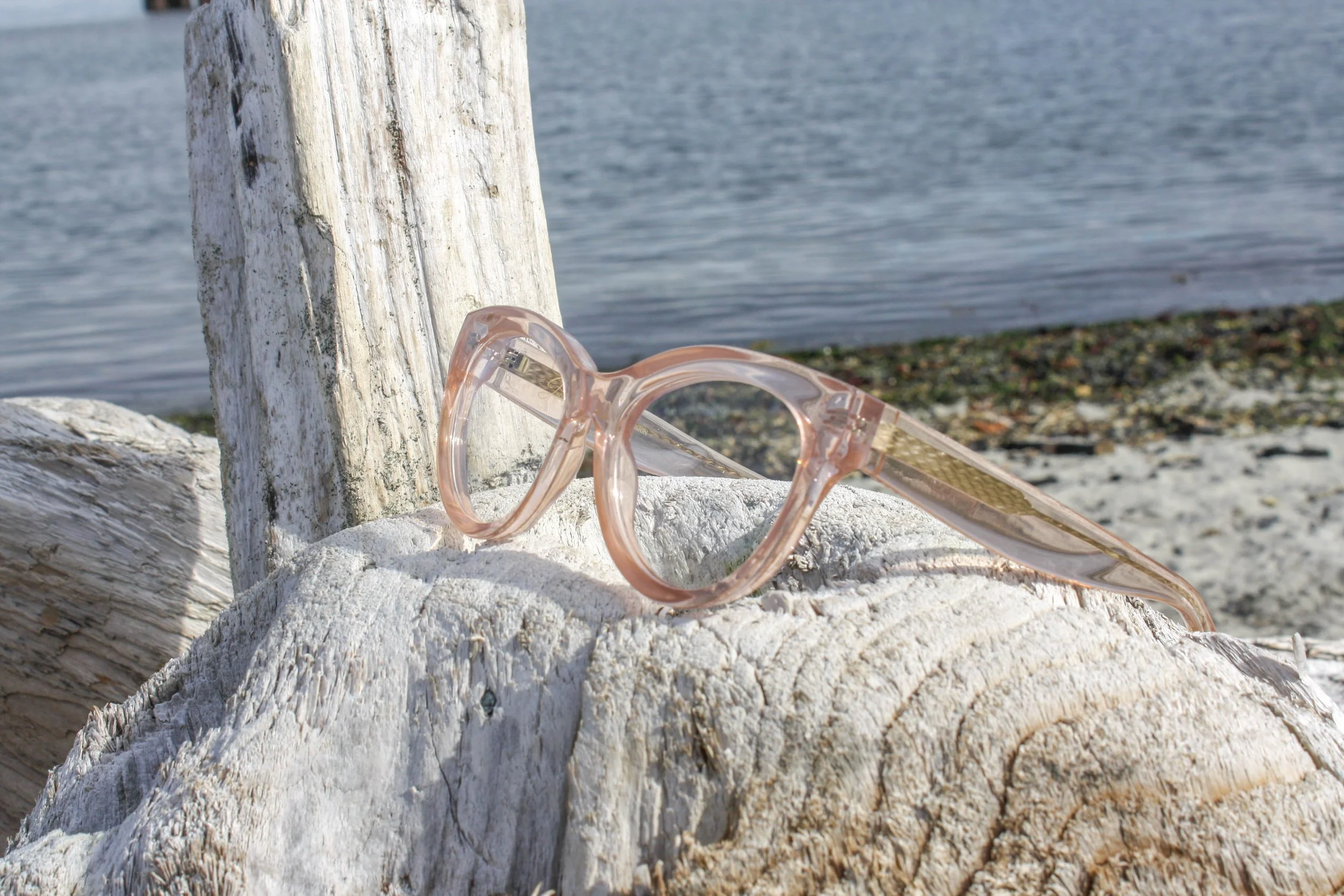 Shop JezeBeL Frames — Secure Vision Mobile Optical
